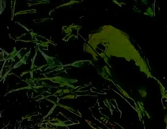 Stan Brakhage / Стэн Брэкидж -  The Garden of Earthly Delights