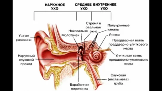 Снижение слуха. Здоровье души и тела. Телеканал «СПАС», 2017