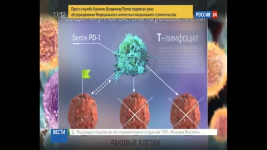 Российское лекарство от рака показало фантастический результат. Декабрь 2016 г.