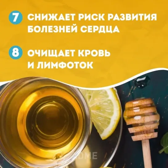 Как похудеть за 10 дней?