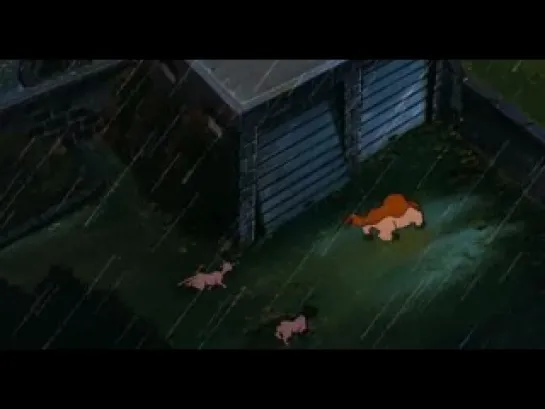 Felidae (1994) rus sub