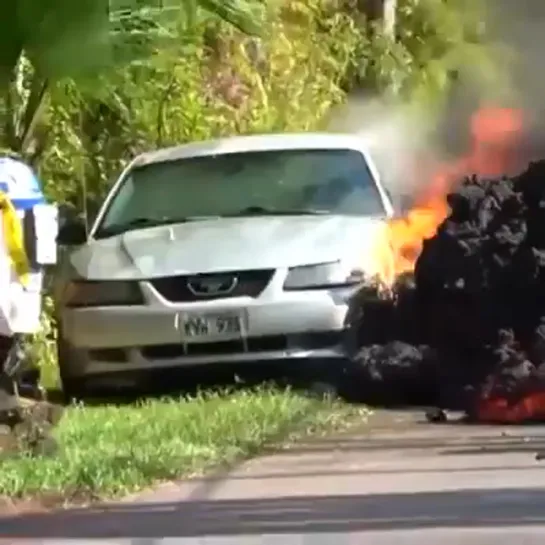 Видео от Мертвые страницы