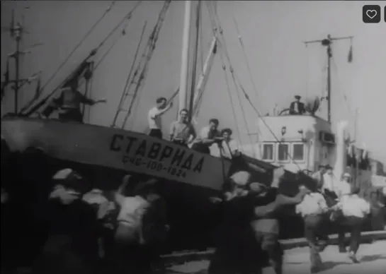 Тайна Димки Кармия (1960)