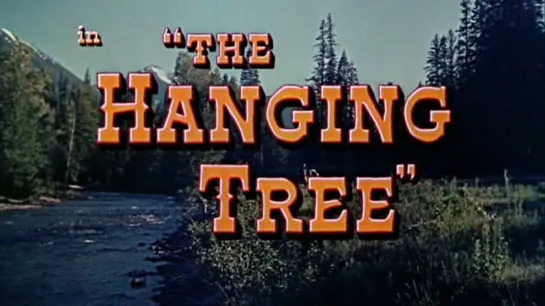 Дерево повешенных / The Hanging Tree 1959