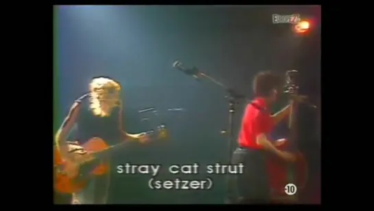 The Stray Cats - Live In Paris (1981)