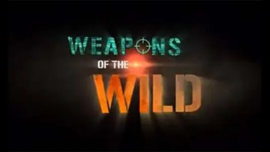 Живое оружие. В единстве сила / Weapons of the Wild. United we Stand (2012)