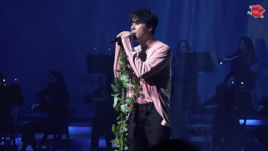 [FANCAM] 27-28.04.19. SON DONGWOON LIVE 2019 [The Orchestra] Curtain Call (4K multi)