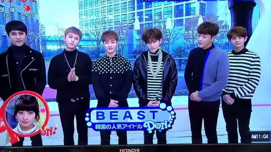 [SHOW] 3.12.2014 NTV PON! - BEAST