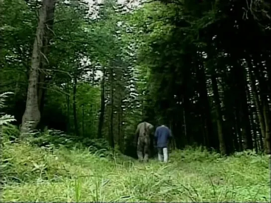 1. ДЕРЕВЬЯ (2000)