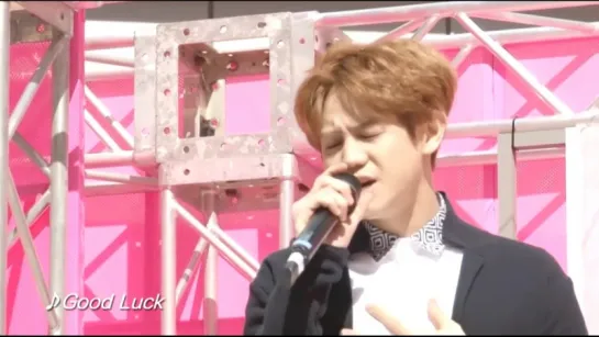 [SHOW] 29.04.2015 Hulu Japan - Document of BEAST, Ep.8 - The First Stage 2015 in Japan