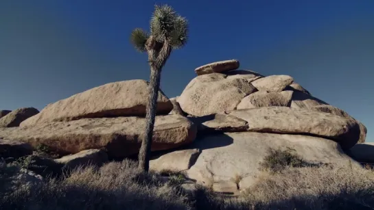 Puscifer – Grand Canyon (Progressive Rock)