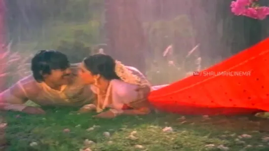 Donga Mogudu Telugu Movie ¦¦ Ee Chempaku Selaviyyaku Video Song ¦¦ Chiranjeevi, Madhavi, Radhika