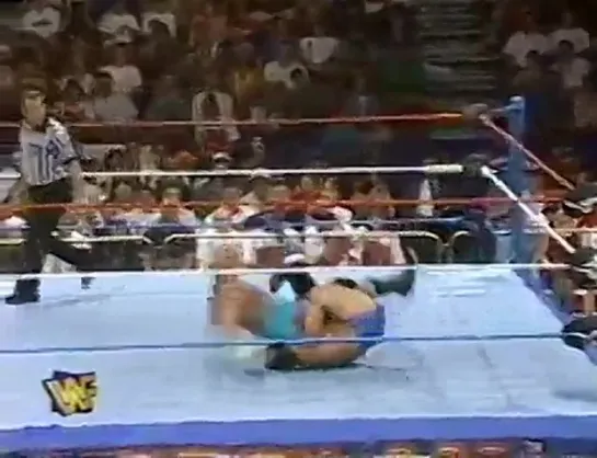 WWF SummerSlam 1995