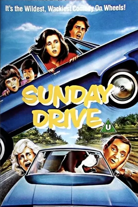 Воскресная поездка / Sunday Drive (1986 США) драма комедия приключения дети в кино Режиссёр: Марк Каллингем