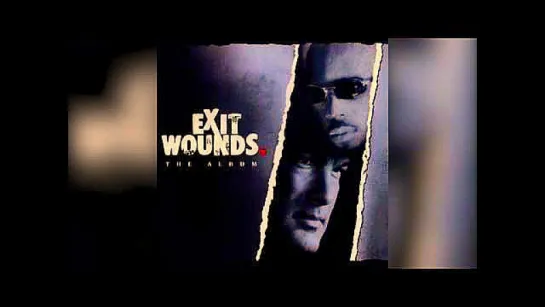 Сквозные ранения |[2001]| Exit Wounds (в гл.ролях: Стивен Сигал, DMX)