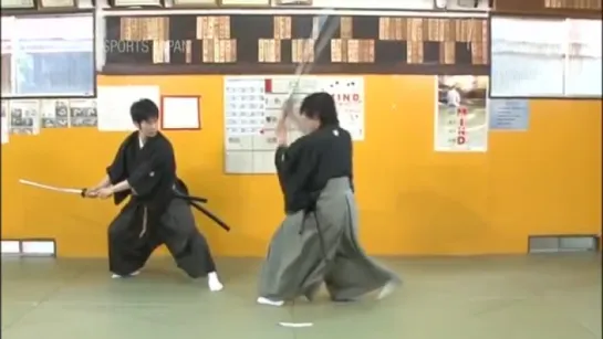 Tenshinryu Hyouho Battojutsu