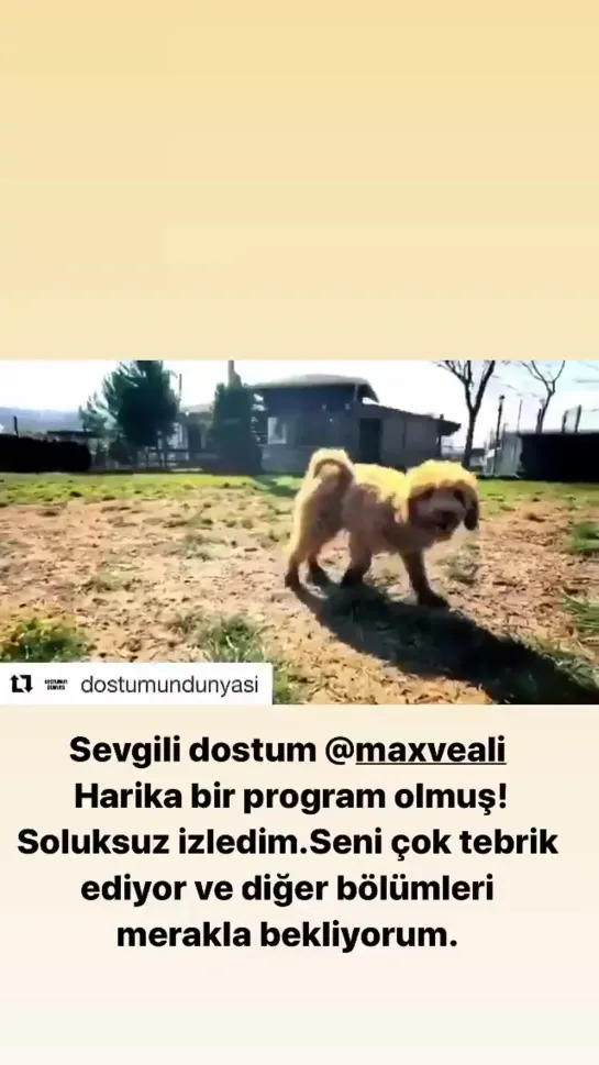 Kıvanç's instagram story