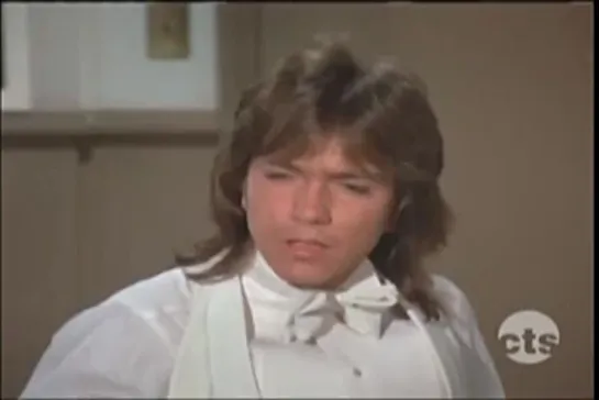 Семья Партридж / The Partridge Family (1970-1974) сезон 4 серия 3  /-4x03-beethoven-brahms-and-partridge