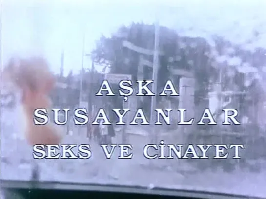 Жажда любви, секса и убийства / Aska susayanlar seks ve cinayet (1972)