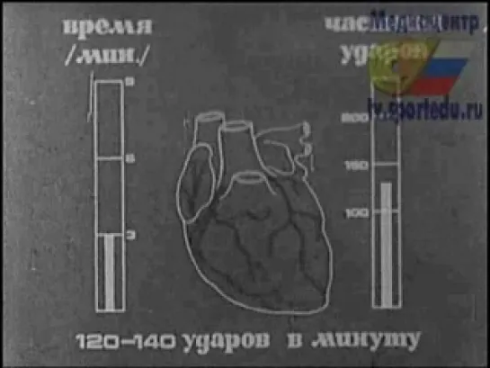 Бокс - СССР. Сила, скорость, выносливость. Подготовка боксёра методом круговой тренировки