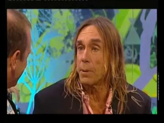 Iggy Pop Uses Racist Term at Glastonbury