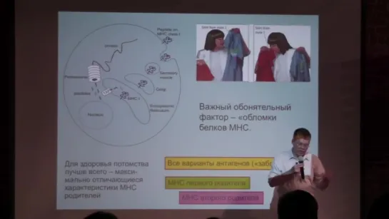 Вячеслав Дубынин. Мозг- любовь, секс, привязанность