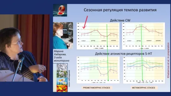 Е.Е.Воронежская. Серотонин_ связь между поколениями