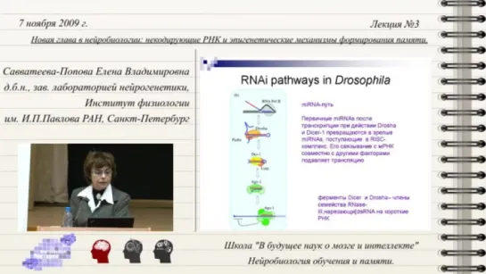 Савватеева-Попова Е.В - Новая глава в нейробиологии