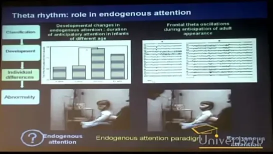 Татьяна Строганова - Ритмы ЭЭГ, их свойства, развитие и роль в механизмах внимания у детей