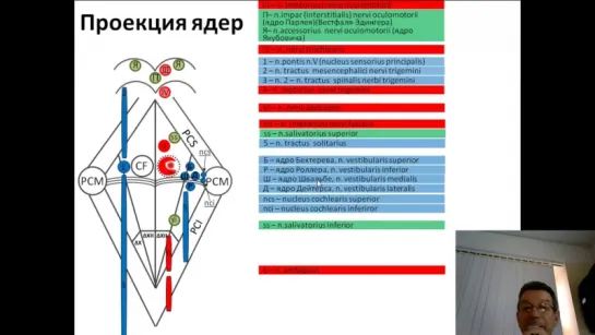 Изранов В.А - Ядра черепных нервов