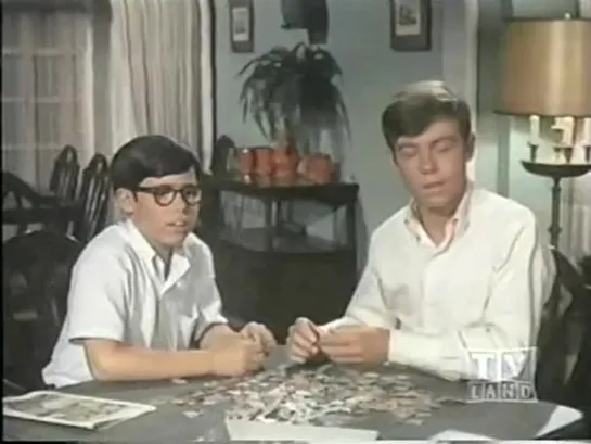 Три моих сына / My Three Sons (1960–1972) сезон 8 серия 28 / s08e28