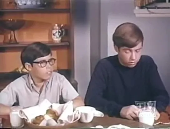 Три моих сына / My Three Sons (1960–1972) сезон 8 серия 14 / s08e14