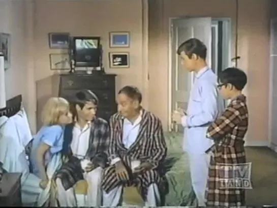 Три моих сына / My Three Sons (1960–1972) сезон 8 серия 12 / s08e12