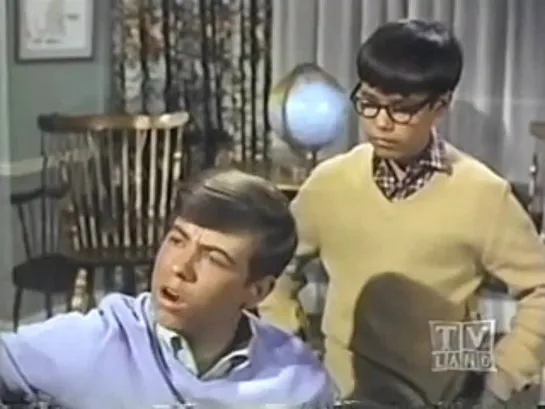 Три моих сына / My Three Sons (1960–1972) сезон 7 серия 25 / s07e25