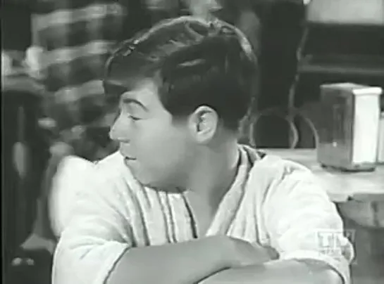 Три моих сына / My Three Sons (1960–1972) сезон 5 серия 24 / s05e24