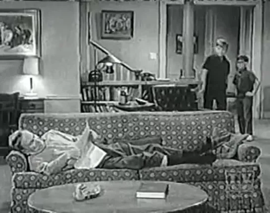 Три моих сына / My Three Sons (1960–1972) сезон 5 серия 18 / s05e18