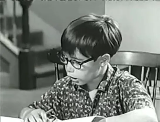 Три моих сына / My Three Sons (1960–1972) сезон 5 серия 16 / s05e16