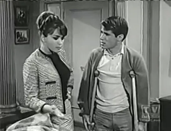 Три моих сына / My Three Sons (1960–1972) сезон 5 серия 15 / s05e15