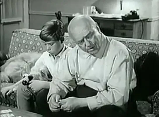 Три моих сына / My Three Sons (1960–1972) сезон 5 серия 8 / s05e08