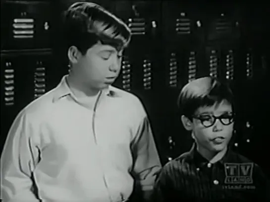 Три моих сына / My Three Sons (1960–1972) сезон 5 серия 7 / s05e07