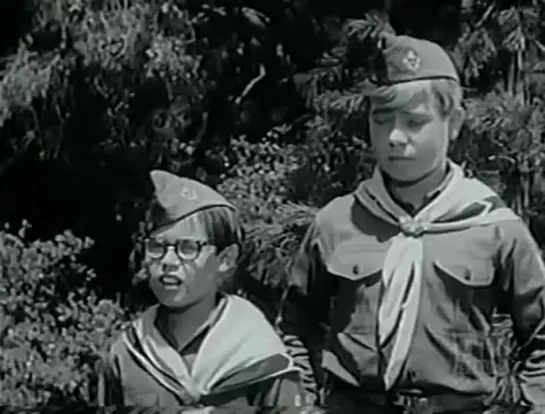 Три моих сына / My Three Sons (1960–1972) сезон 5 серия 6 / s05e06