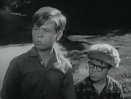 Три моих сына / My Three Sons (1960–1972) сезон 4 серия 36 / s04e36