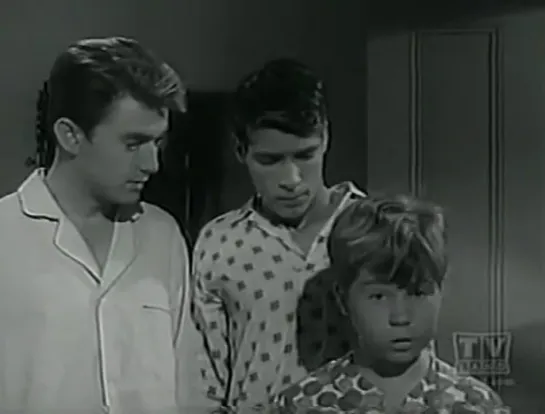 Три моих сына / My Three Sons (1960–1972) сезон 3 серия 20 / s03e20