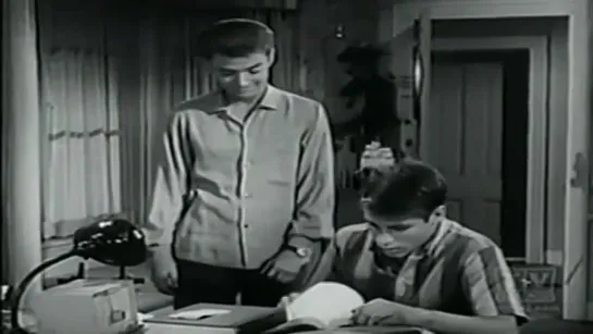 Три моих сына / My Three Sons, (1960–1972) сезон 3 серия 9 / S03E09