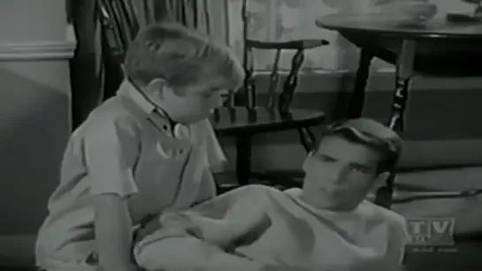 Три моих сына / My Three Sons, (1960–1972) сезон 3 серия 8 / S03E08