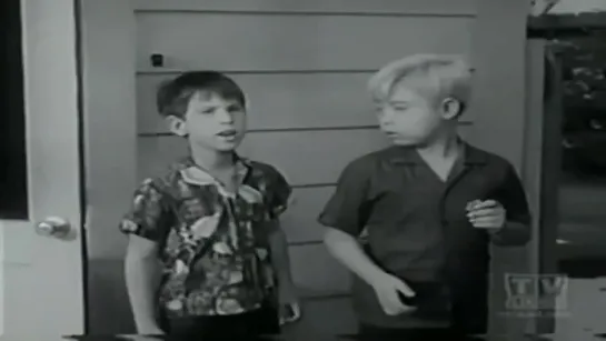 Три моих сына / My Three Sons, (1960–1972) сезон 3 серия 6 / S03E06