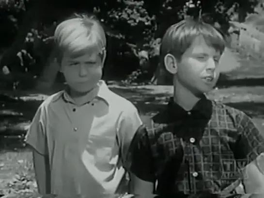 Три моих сына / My Three Sons, (1960–1972) сезон 3 серия 4 / S03E04