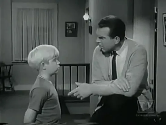 Три моих сына  / My Three Sons, (1960–1972) сезон 2 серия 35 / S02E35