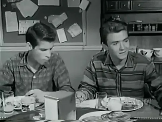 Три моих сына  / My Three Sons, (1960–1972) сезон 2 серия 29 / S02E29