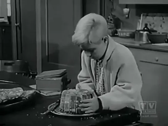 Три моих сына  / My Three Sons, (1960–1972) сезон 2 серия 28 / S02E28